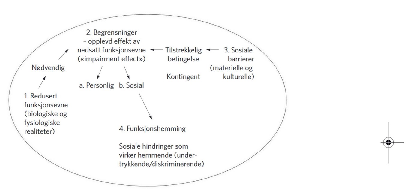 Den sosiale-relasjonelle forståelsen av funksjonshemming illustreres i en figur hentet fra Reindal (2010, s. 125)